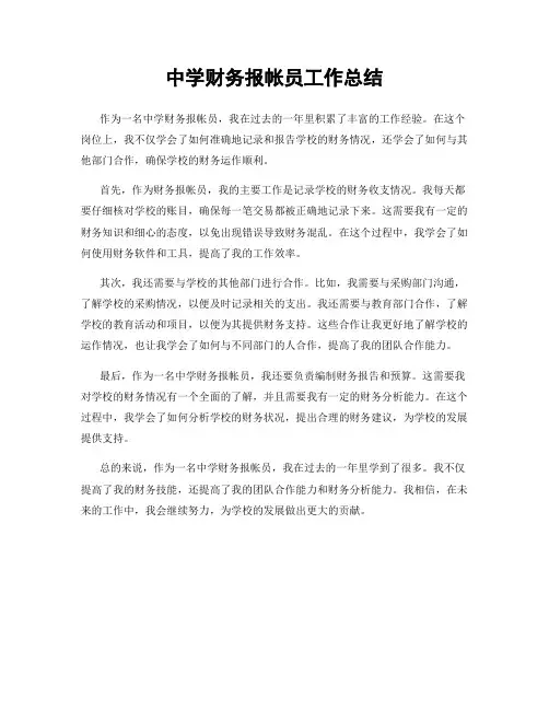中学财务报帐员工作总结