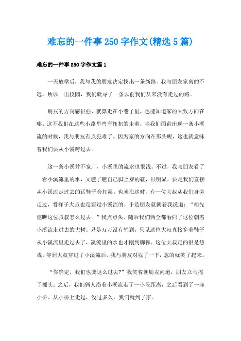 难忘的一件事250字作文(精选5篇)