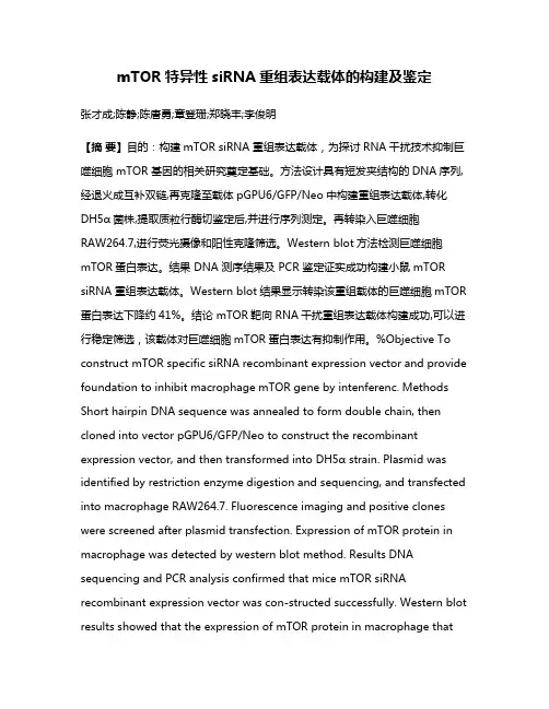 mTOR特异性siRNA重组表达载体的构建及鉴定