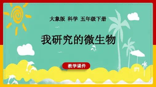 【精品课件】 大象版小学科学五年级下册  我研究的微生物 课件2