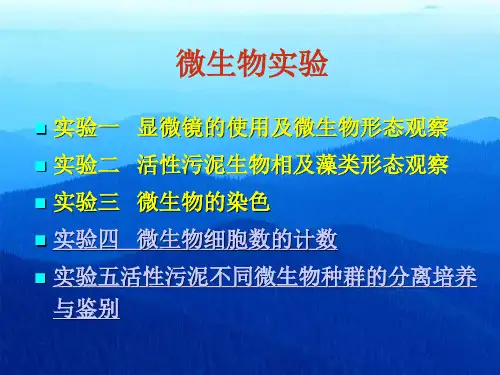 微生物实验实验一显微镜的使用及微生物形态观察