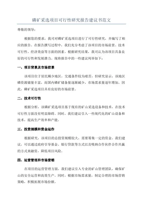 磷矿采选项目可行性研究报告建议书范文