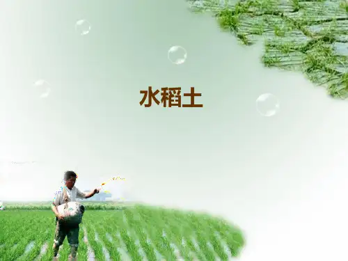 水稻土的分布