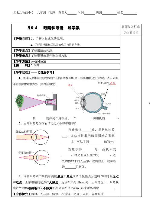 5.4  眼睛和眼镜  导学案