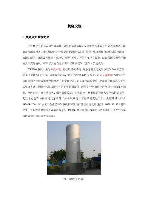 项目火炬规格说明书