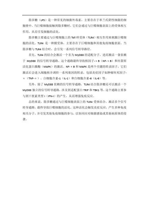 脂多糖刺激巨噬细胞活化原理
