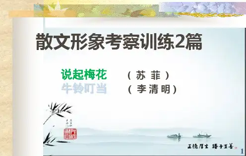 散文形象：说起梅花 + 牛铃叮当
