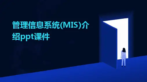 管理信息系统(MIS)介绍ppt课件