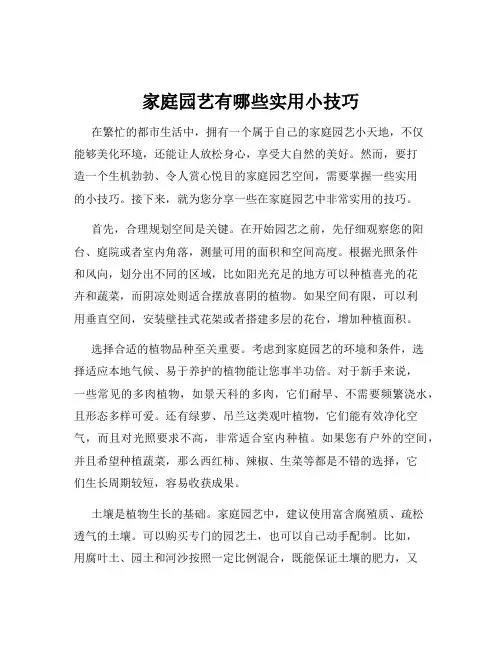 家庭园艺有哪些实用小技巧