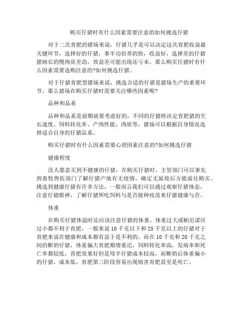 购买仔猪时有什么因素需要注意的如何挑选仔猪