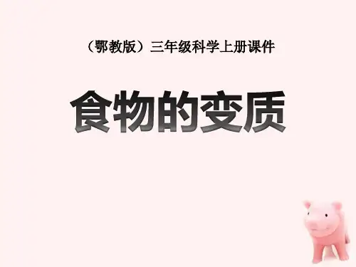 《食物的变质》生活中的食物 PPT教学课件