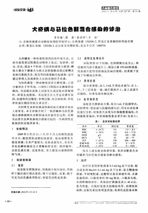 犬疥螨与马拉色菌混合感染的诊治