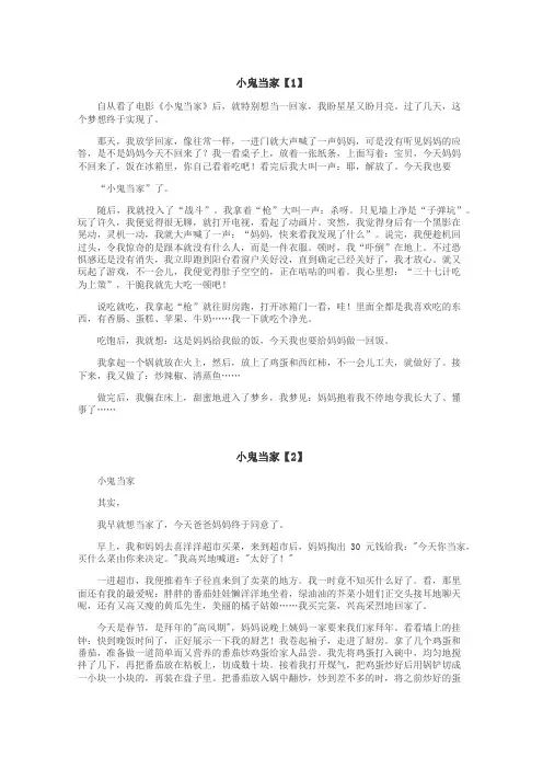 小鬼当家作文
