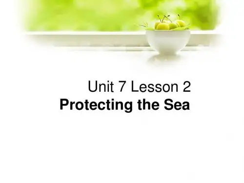 Unit 7 Lesson 2 Protecting the Sea 课件 4-优质公开课-北师大版高中必修3精品