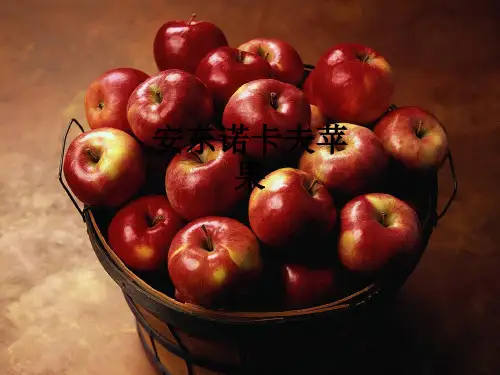 安东诺卡夫苹果ppt课件