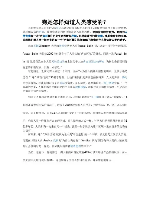 狗是怎样知道人类感受的