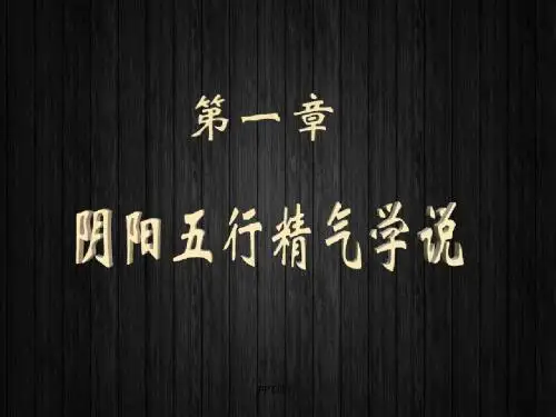 阴阳五行精气学说  ppt课件