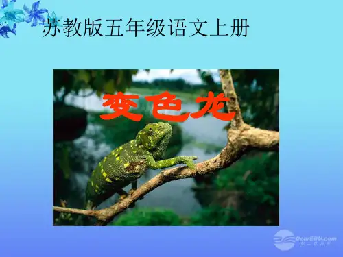 五年级语文上册 变色龙 1课件 苏教版