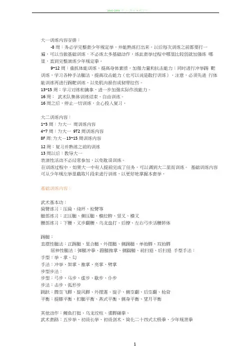 武术队的训练计划