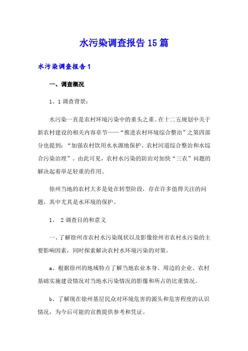 水污染调查报告15篇