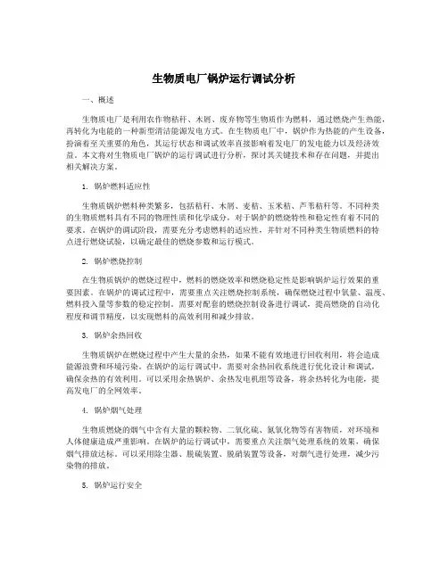 生物质电厂锅炉运行调试分析
