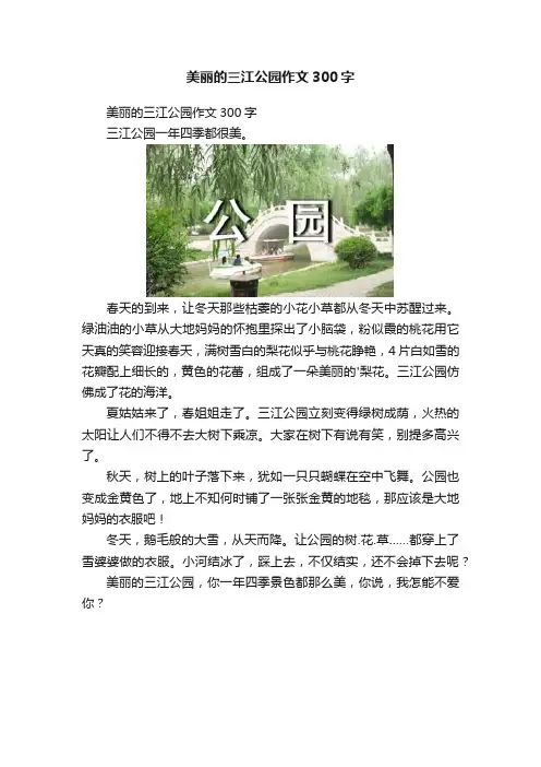 美丽的三江公园作文300字