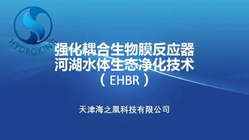 EHBR黑臭水体治理ppt