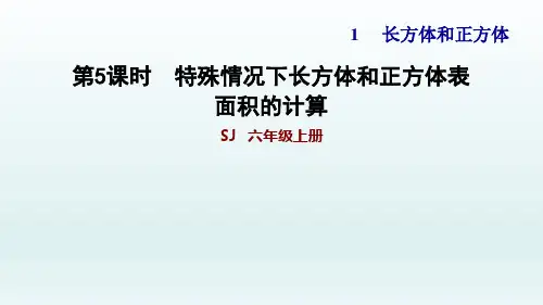 苏教版六年级上数学 特殊情况下长方体和正方体表面积的计算