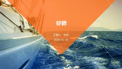 矽肺演示课件
