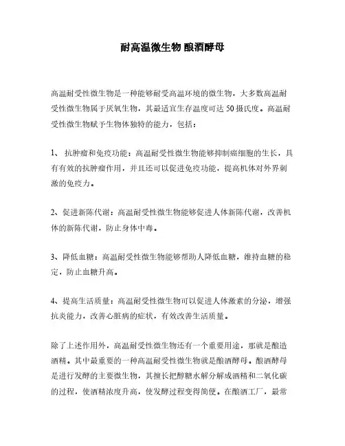 耐高温微生物 酿酒酵母
