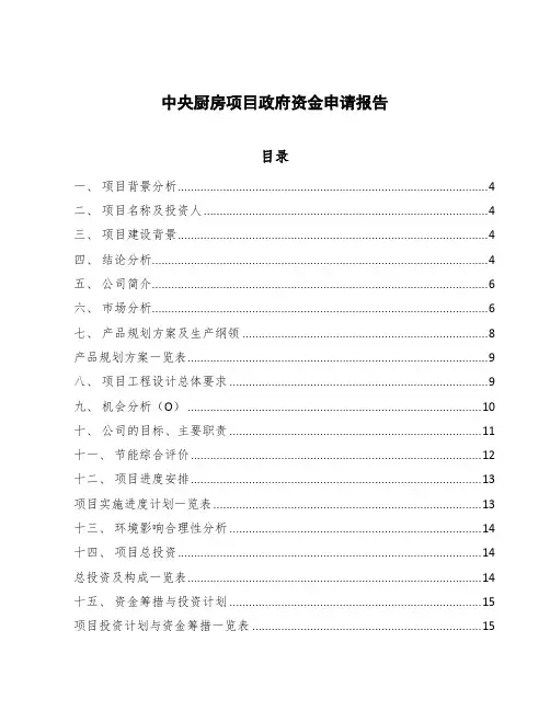 中央厨房项目政府资金申请报告