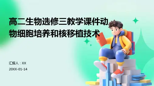 高二生物选修三教学课件动物细胞培养和核移植技术