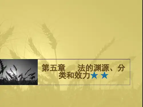 法理学第五章法的渊源、分类和效力.