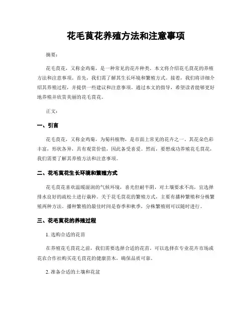 花毛茛花养殖方法和注意事项