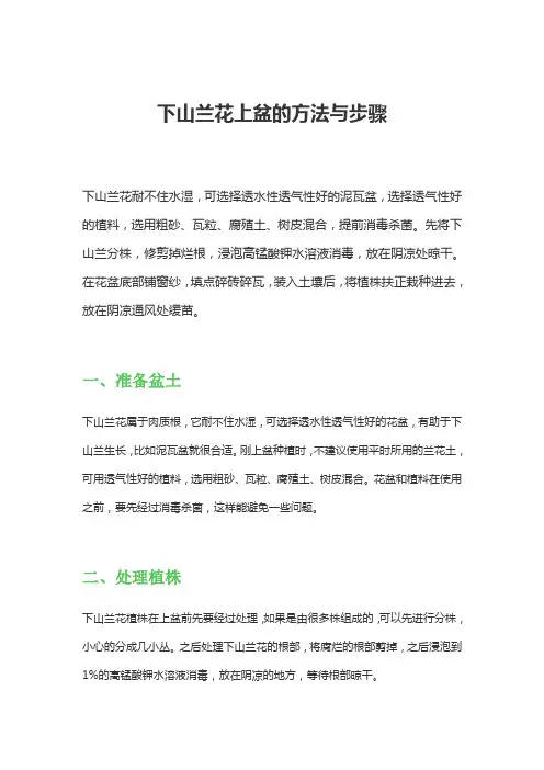 下山兰花上盆的方法与步骤