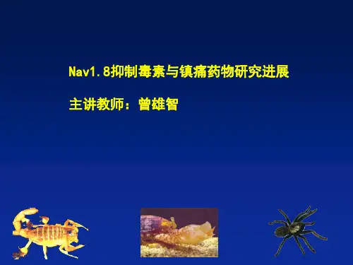 Nav1.8通道抑制毒素与镇痛药物研究进展