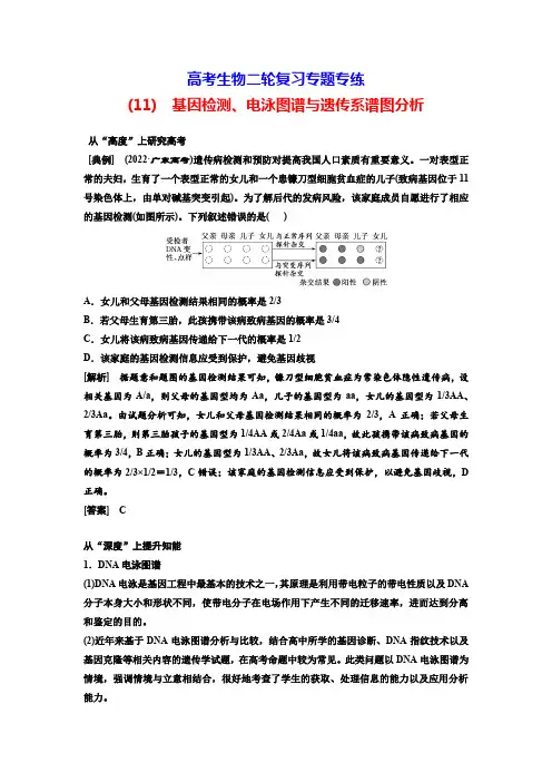 高考生物二轮复习专题专练(11) 基因检测、电泳图谱与遗传系谱图分析