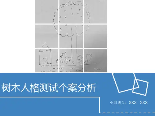 树木人格案例分析
