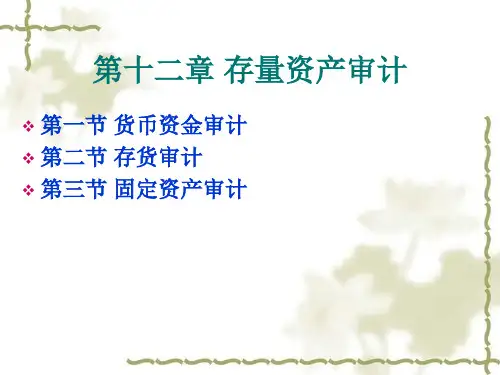 存量资产审计概述