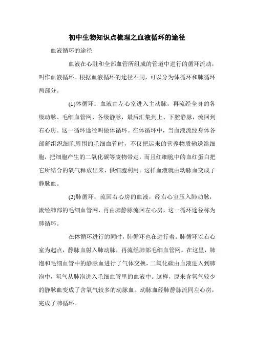 初中生物知识点梳理之血液循环的途径