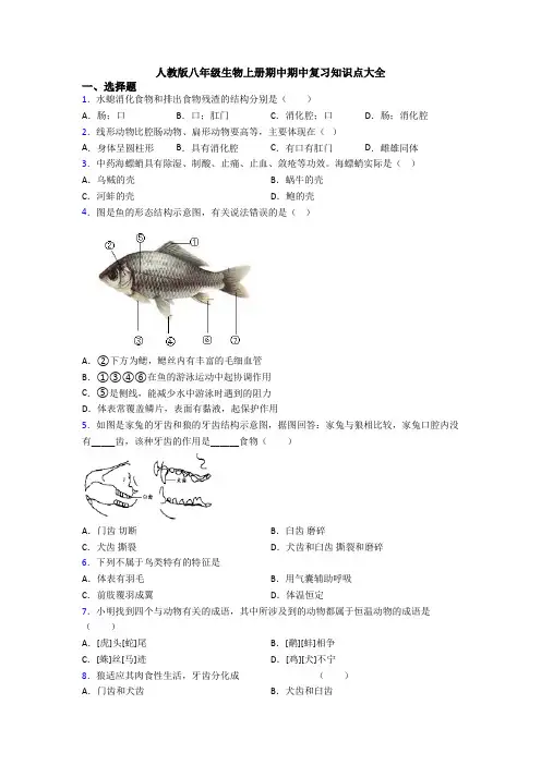人教版八年级生物上册期中期中复习知识点大全