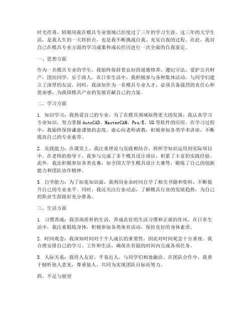 模具个人总结范文