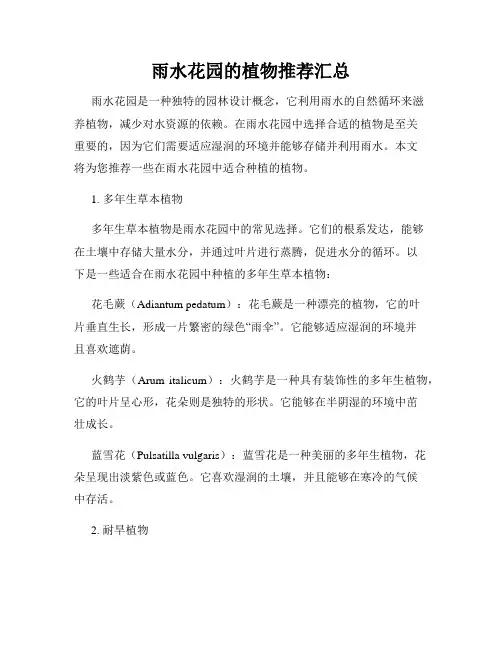 雨水花园的植物推荐汇总