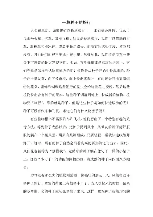 一粒种子的旅行