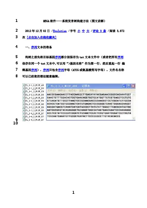 最新MEGA5使用说明