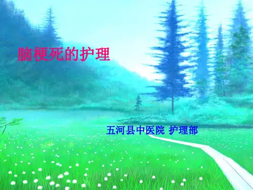 脑梗塞康复护理PPT课件