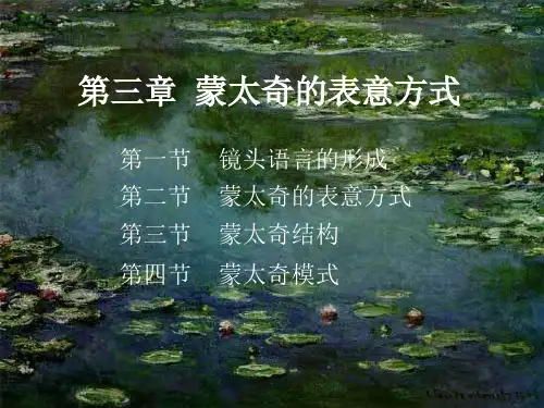 影视视听语言--蒙太奇PPT课件