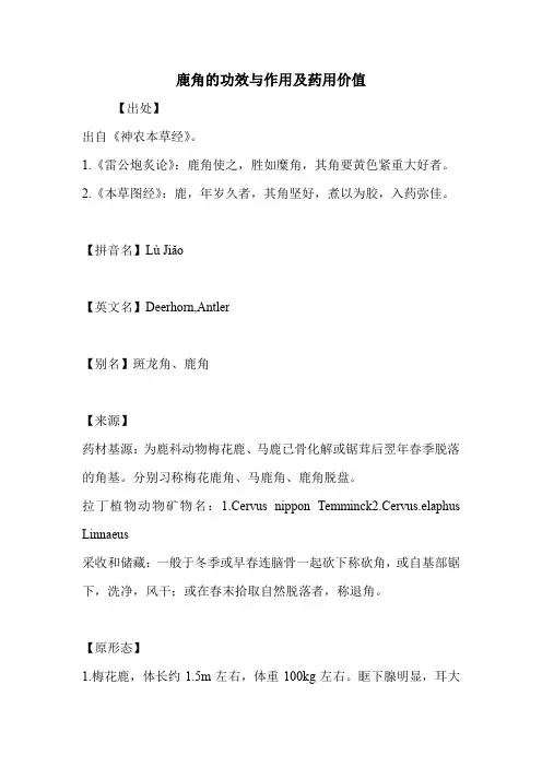 鹿角的功效与作用及药用价值