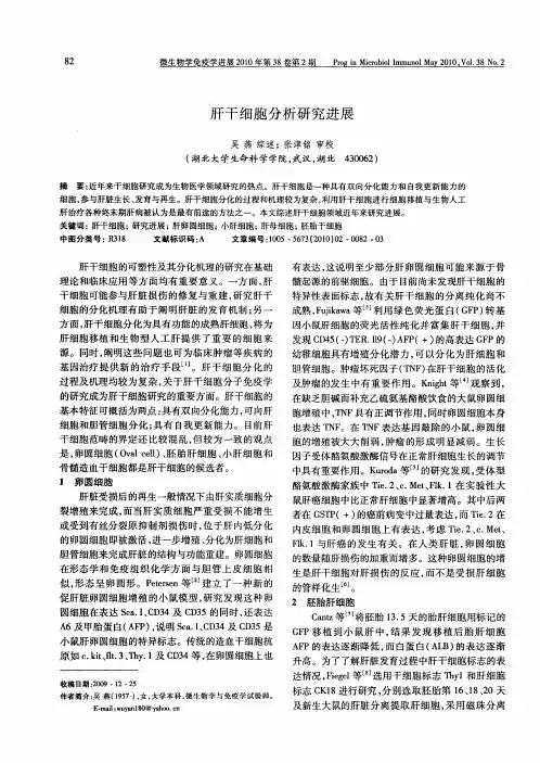 肝干细胞分析研究进展