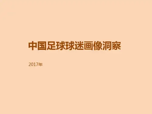 2017年中国足球球迷画像洞察